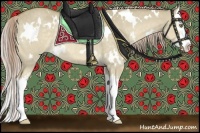 Horse Color:White Spotted Palomino Dun Splash Rabicano