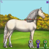 Horse Color:Silver Amber Champagne Dun 