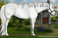 Horse Color:White Spotted Liver Red Dun Ice Pearl Mushroom Sabino Splash Brindle