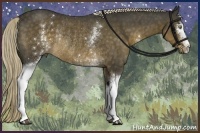 Horse Color:White Spotted Chocolate Palomino Rabicano