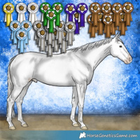 Horse Color:White Spotted Silver Bay Dun Appaloosa