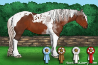 Horse Color:Silver Brown Tobiano 