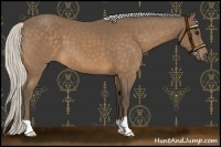 Horse Color:Silver Buckskin 