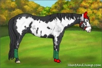 Horse Color:White Spotted Black Splash Frame 