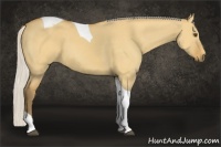 Horse Color:Silver Buckskin Dun Tobiano 