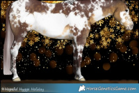 Horse Color:White Spotted Chocolate Buckskin Frame 