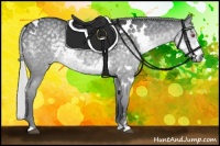 Horse Color:White Spotted Silver Smoky Black Chinchilla 