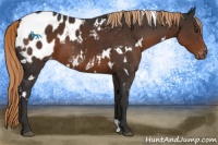 Horse Color:White Spotted Liver Chestnut Blanket 