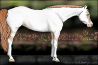 Horse Color:Gold Champagne Near Fewspot 