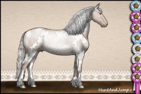 Horse Color:White Spotted Silver Black Pearl Mushroom Rabicano