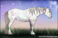 Horse Color:White Spotted Silver Black Ice