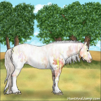 Horse Color:White Spotted Silver Brown Ice Rabicano 