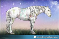 Horse Color:White Spotted Silver Brown Ice Mushroom Rabicano 
