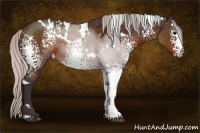 Horse Color:White Spotted Silver Brown 