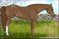 Horse Color:Gray Chestnut 