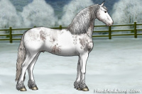 Horse Color:White Spotted Silver Black Ice 