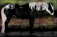 Horse Color:Nacre Watercolor White Spotted Chocolate Palomino Ice 