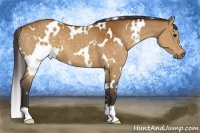 Horse Color:White Spotted Buckskin 