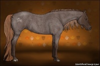 Horse Color:Liver Red Roan 