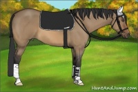 Horse Color:Bay Roan Dun 