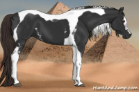 Horse Color:Gray White Spotted Liver Chestnut Tobiano