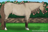 Horse Color:Liver Red Dun Roan Rabicano