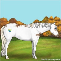 Horse Color:Chestnut Sabino Splash Frame 