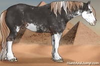 Horse Color:Liver Chestnut Sabino Splash