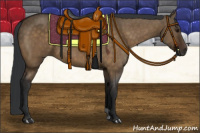 Horse Color:Brown Dun 