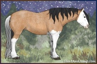 Horse Color:Bay Roan Splash