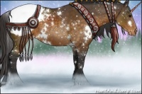 Horse Color:White Spotted Buckskin Sabino Appaloosa 