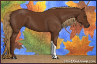 Horse Color:Gray Chestnut 