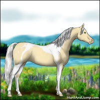 Horse Color:Silver Sable Cream Champagne Dun Tobiano Varnish 