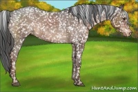 Horse Color:Liver Chestnut Snowflake Varnish 