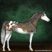 Horse Color:Chocolate Palomino Mushroom Splash Snowflake Varnish 