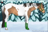 Horse Color:Buckskin Tobiano