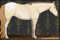 Horse Color:Buckskin Pearl Varnish 