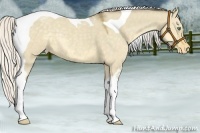Horse Color:Silver Classic Cream Champagne Dun Tobiano Varnish Rabicano 
