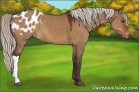 Horse Color:Silver Brown Dun Blanket 