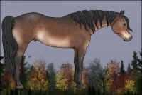Horse Color:Brown Mushroom 