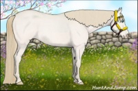 Horse Color:Smoky Creme Roan Dun
