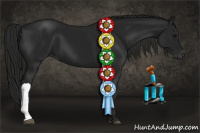 Horse Color:Gray Black 