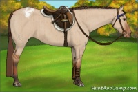 Horse Color:Bay Dun Appaloosa Brindle 