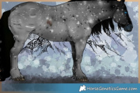 Horse Color:ERROR: UNKNOWN ANOMALY