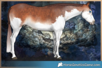 Horse Color:Chocolate Brown Sabino Splash Frame Rabicano 