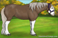 Horse Color:Silver Black Splash
