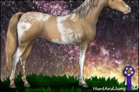 Horse Color:Liver Red Roan Pearl Tobiano Frame 