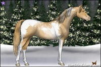 Horse Color:Red Roan Pearl Tobiano 