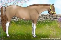 Horse Color:Liver Red Roan Pearl Tobiano Frame 