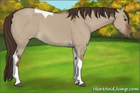 Horse Color:Liver Red Dun Tobiano 